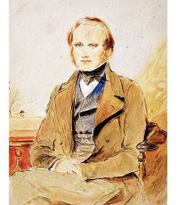 Дарвин Чарльз (Чарльз Роберт) (1809-1882) - английский учёный-натуралист.
